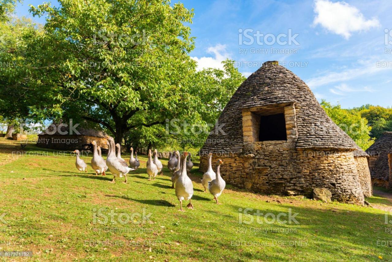 Studio Fontaine D'Amour Sarlat Exterior foto