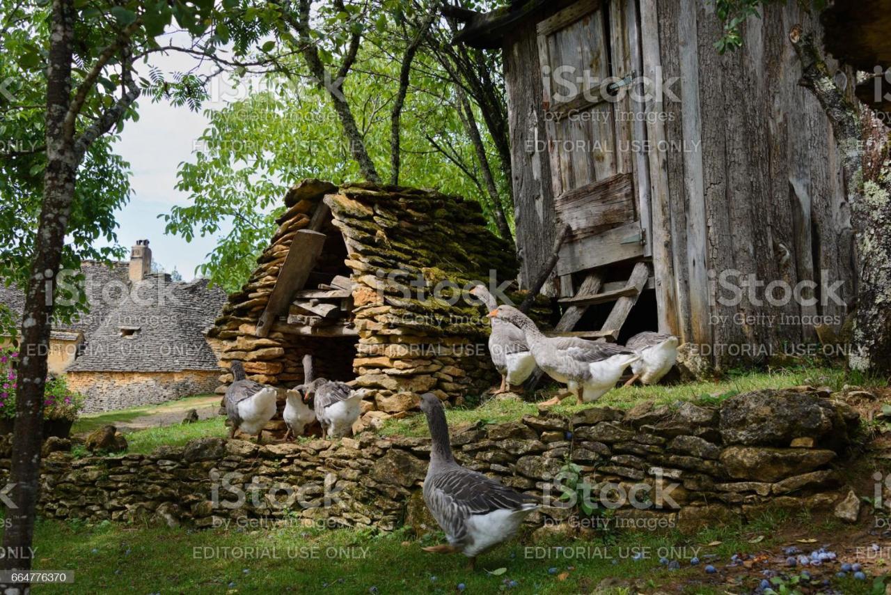Studio Fontaine D'Amour Sarlat Exterior foto